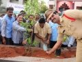 The plant is planted by Suri Apparao (C.I) , Sri Pendem Dorababu (M.L.A) In the presence of Dr.Umar Alisha