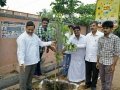 Plantation in Pithapuram as part of the Make Pithapuram Green Initiative