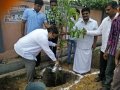 Plantation in Pithapuram as part of the Make Pithapuram Green Initiative